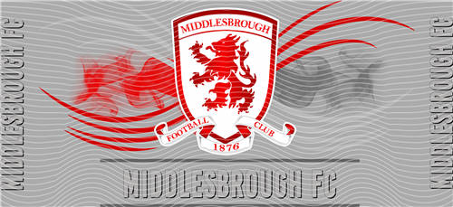 16oz Latest Bestseller-C 5961